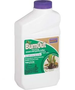 Garden Goods Direct Bonide Burnout Weed And Grass Killer