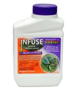 Garden Goods Direct Bonide Infuse Systemic Disease Control