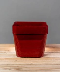 Garden Goods Direct Crescent Anya Square Resin Planter