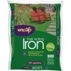 Garden Goods Direct Encap Fast Acting Iron Lawn Care