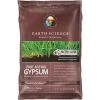 Garden Goods Direct Encap Fast Acting Gypsum Lawn Care