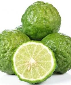 Garden Goods Direct Kieffer Lime Tree