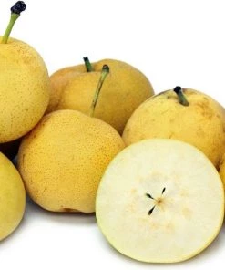 Garden Goods Direct Kikusui Pear Tree