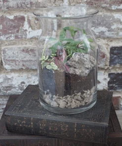 Garden Goods Direct Terrarium Kit All Planters & Pottery