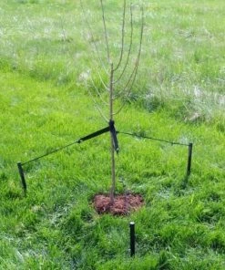 Garden Goods Direct Tree Staking Kit By DeWitt Tools