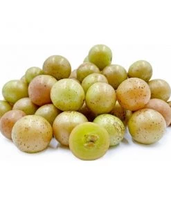 Garden Goods Direct Scuppernong Grape Vines 7 Garden Goods Direct Scuppernong Grape Vines