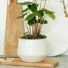 Garden Goods Direct Carter' Tapered Ceramic Crock All Planters & Pottery