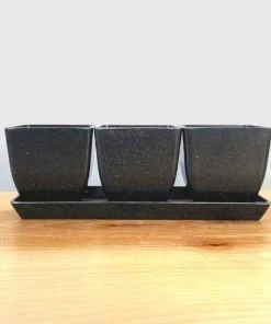 Garden Goods Direct EcoForms Quadra Trio 3.5 Inch Square Rice Hull Planter Set All Planters & Pottery