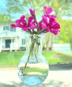 Garden Goods Direct Floral Illusion Glass Vase