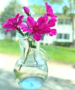Garden Goods Direct Floral Illusion Glass Vase