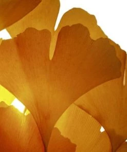 Garden Goods Direct Autumn Gold Ginkgo Tree Trees