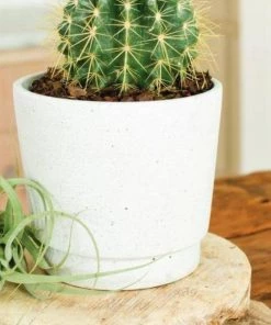 Garden Goods Direct Pompei' Round Ceramic Vase