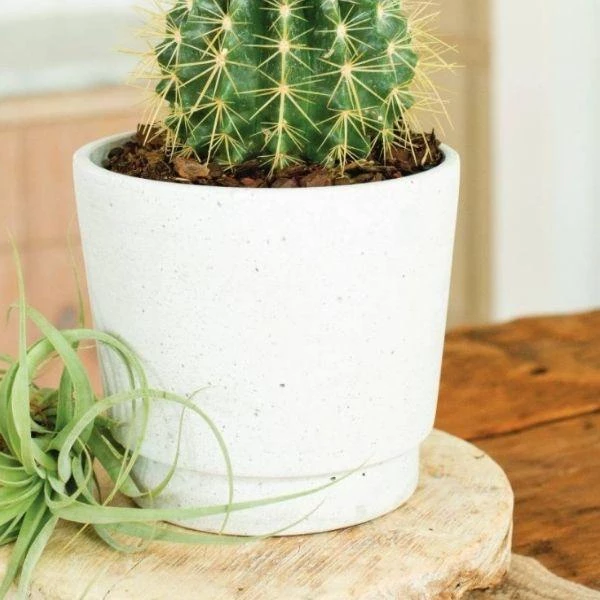 Garden Goods Direct Pompei' Round Ceramic Vase 2 Garden Goods Direct Pompei' Round Ceramic Vase