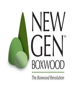 Garden Goods Direct Shrubs NewGen Freedom Boxwood 7 Garden Goods Direct Shrubs NewGen Freedom Boxwood