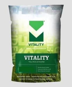 Garden Goods Direct Vitality Tall Fescue Blend Grass Seed