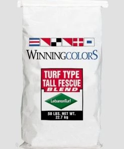Garden Goods Direct Winning Colors Fescue Blend Grass Seed